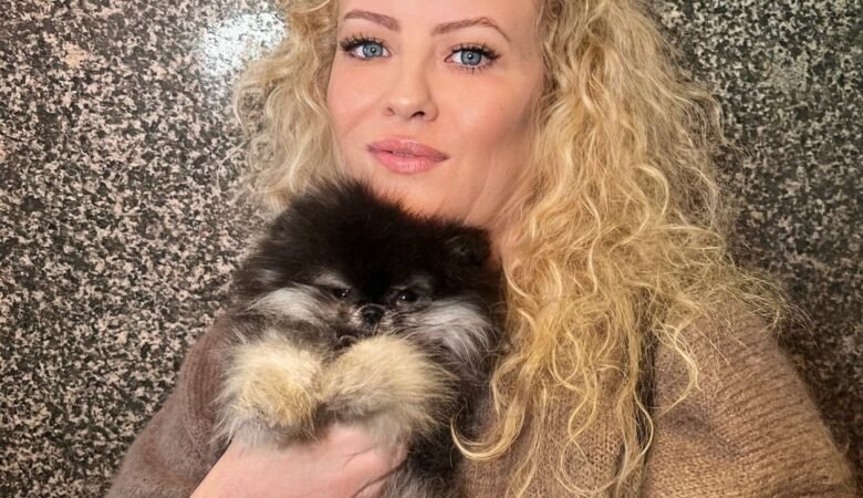 Find Miniature Pomeranian Puppies for Sale in Delaware: Top 3 Locations