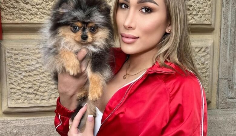 Miniature Pomeranian Puppies for Sale in Connecticut: Top 4 Locations