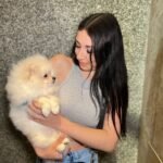 Can I find a healthy teacup Pomeranian for $500?