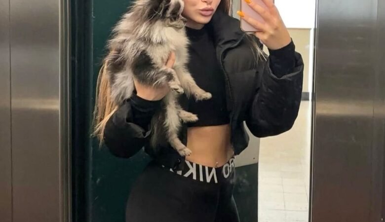 Teacup Pomeranian Puppies for Sale in Tennessee: Top 3 Locations