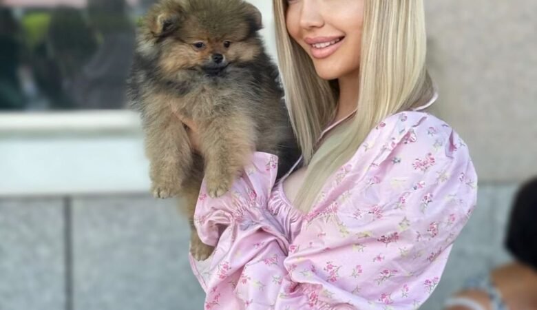 Teacup Pomeranian Puppies for Sale in Texas: Top 4 Locations