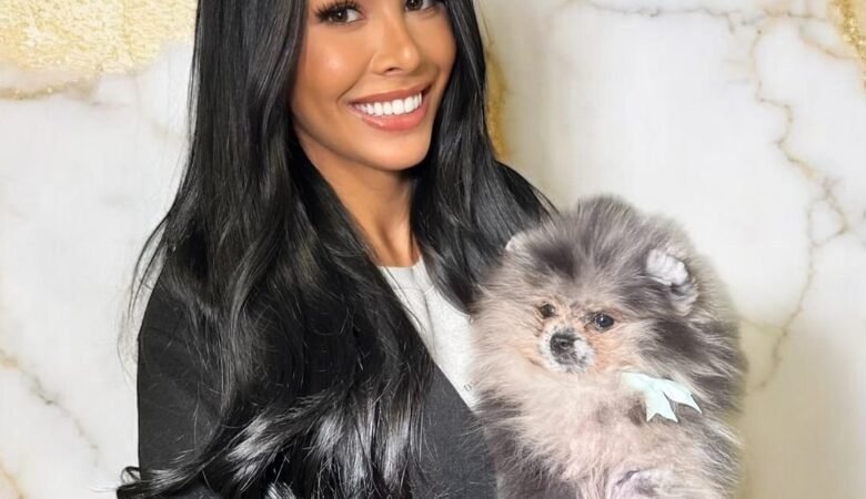 Find Miniature Pomeranian Puppies for Sale in Oregon: Top 5 Locations