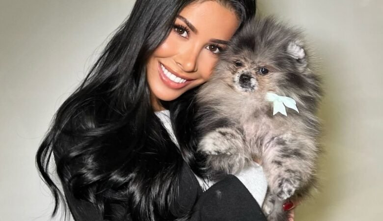 Where to Buy Pomeranian Puppies for Sale in South Dakota: Top 5 Locations