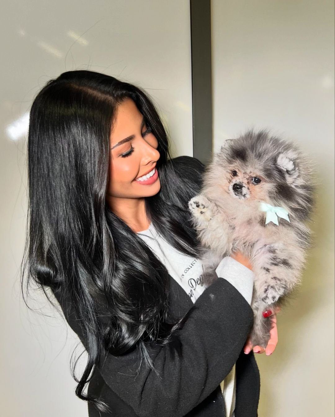 Pomeranian Puppies for Sale in Ohio