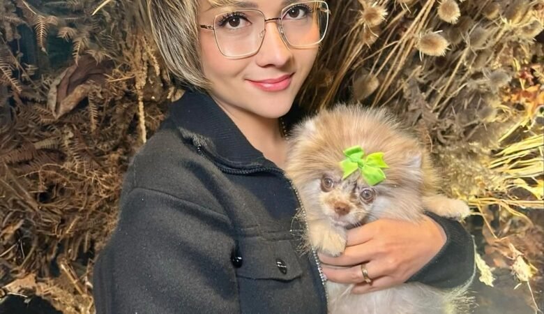 Teacup Pomeranian Puppies for Sale in Ohio: Top 7 Theaters