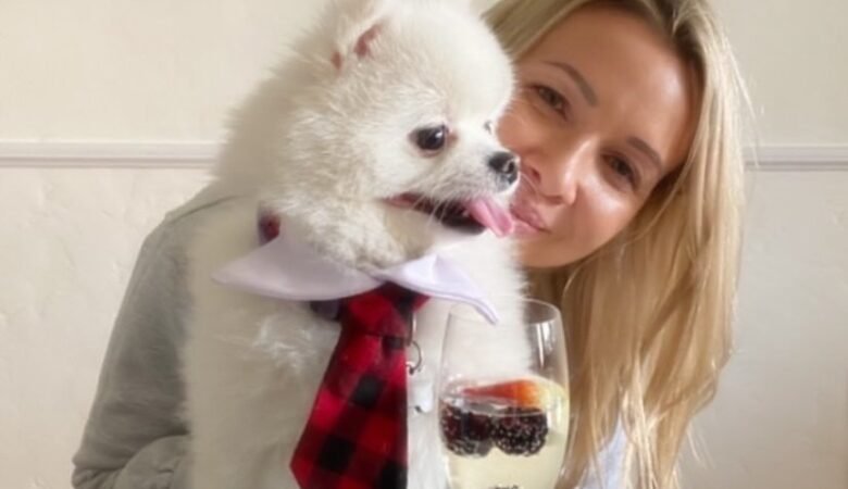 Find Miniature Pomeranian Puppies for Sale in Montana: Top 5 Locations