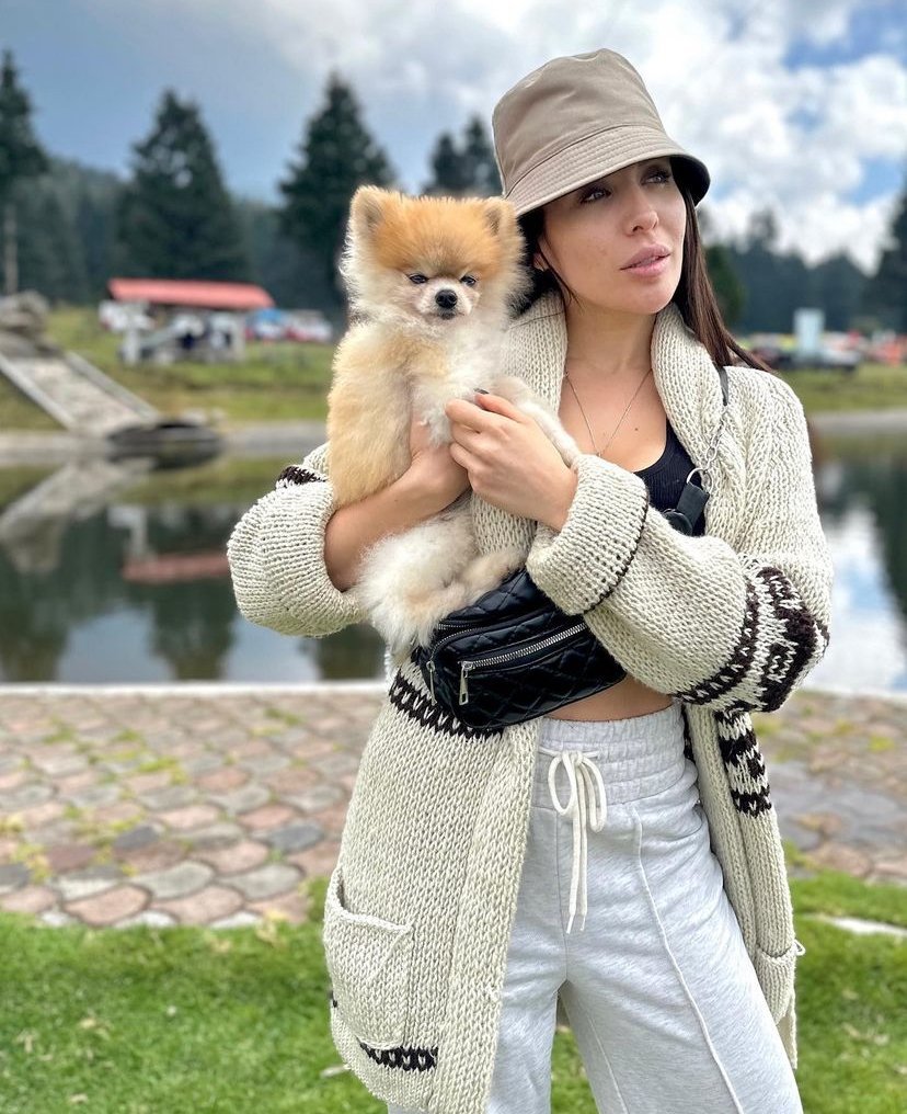 Miniature Pomeranian Puppies for Sale in Massachusetts