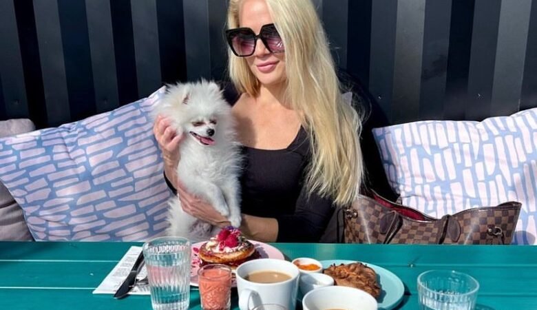 Teacup Pomeranian Puppies for Sale in North Carolina: Top 4 Breeders