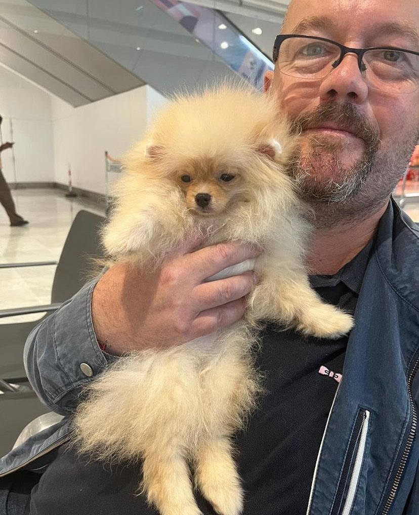 How much do Pomeranian puppies cost in Las Vegas?