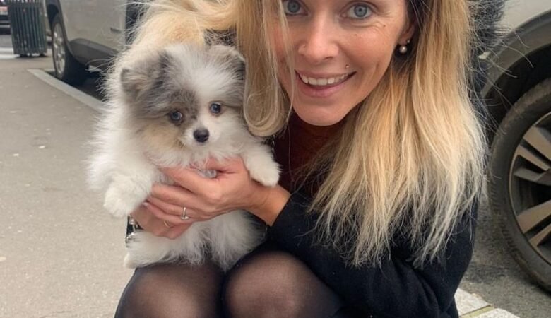 Teacup Pomeranian Puppies for Sale in South Dakota: Top 5 Locations