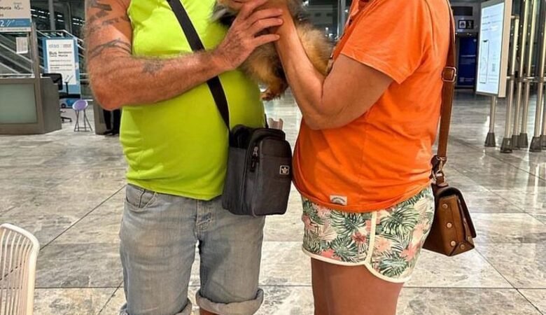 Teacup Pomeranian Puppies for Sale in Oklahoma: Top 7 Breeders Today