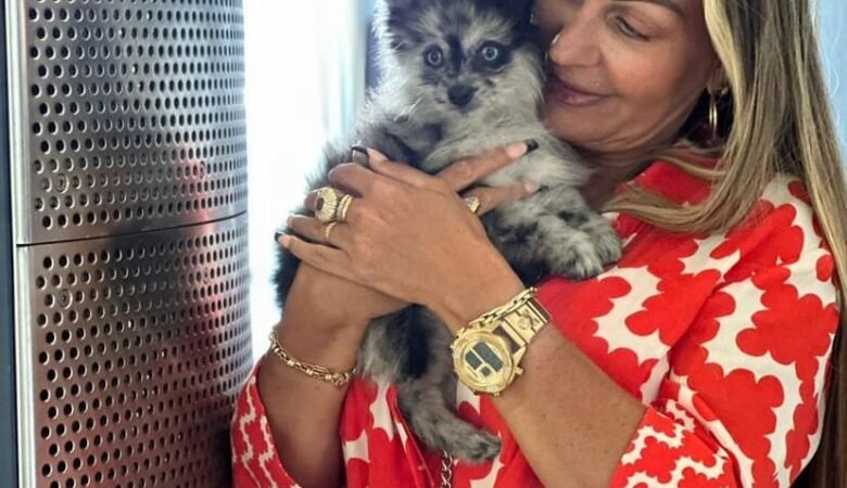 Where to Buy Teacup Pomeranian Puppies for Sale in Minnesota: Top 6 Locations