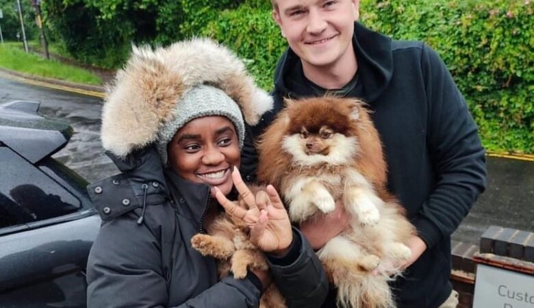 Black White Teacup Pomeranian: A Guide to Finding Your Perfect Puppy