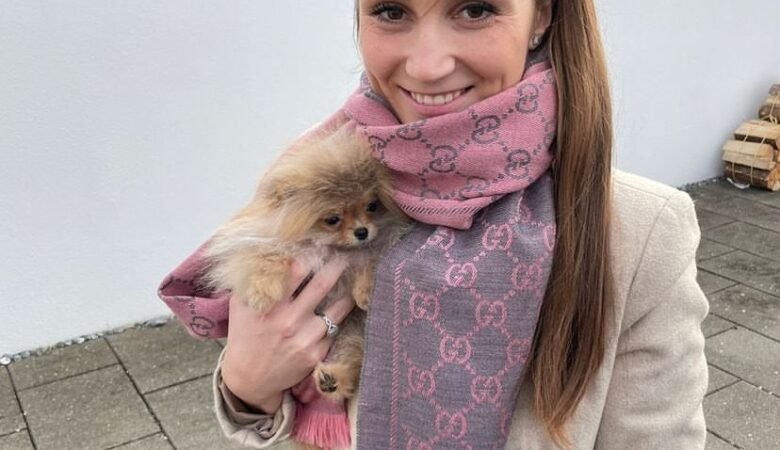 Teacup Pomeranian Puppies for Sale in California: Top 3 Locations