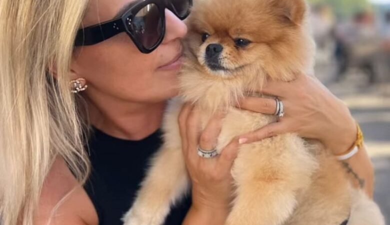 Teacup Pomeranian Puppies for Sale in Alaska – Find Your Perfect Tiny Companion!