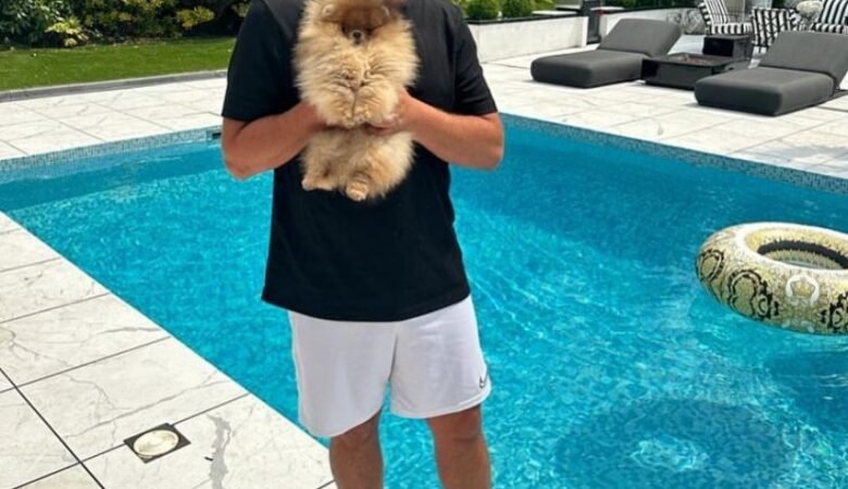 Teacup Pomeranian Puppies for Sale in Connecticut: Top 3 Locations