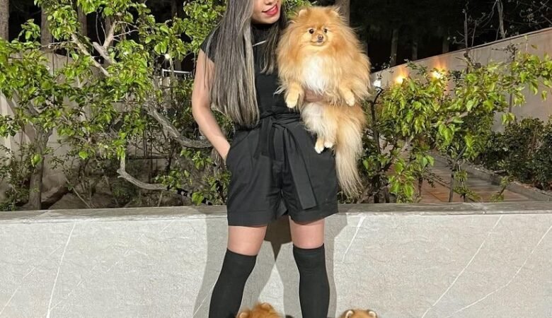 Find Miniature Pomeranian Puppies for Sale in Wisconsin: Top 3 Locations