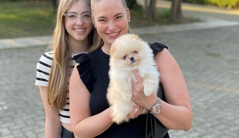 Teacup Pomeranian Puppies for Sale in Wisconsin: Top 3 Locations Today