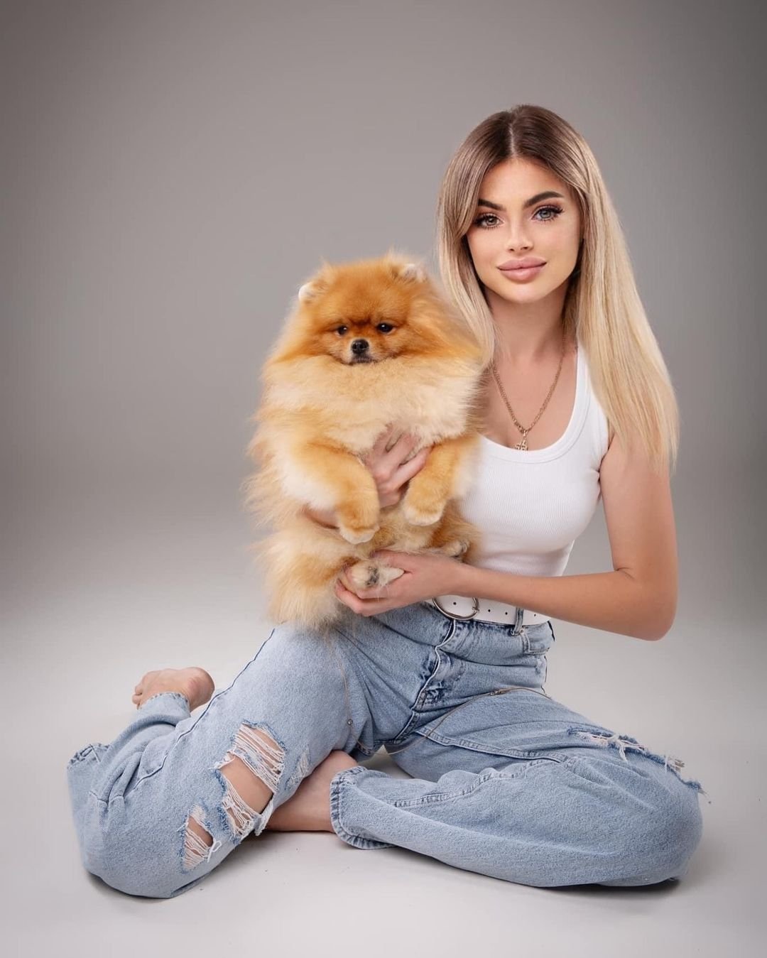 Pomeranian Puppies for Sale San Antonio